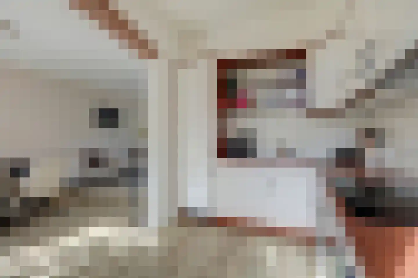 Klumperkamp 5 Epse thumbnail 12