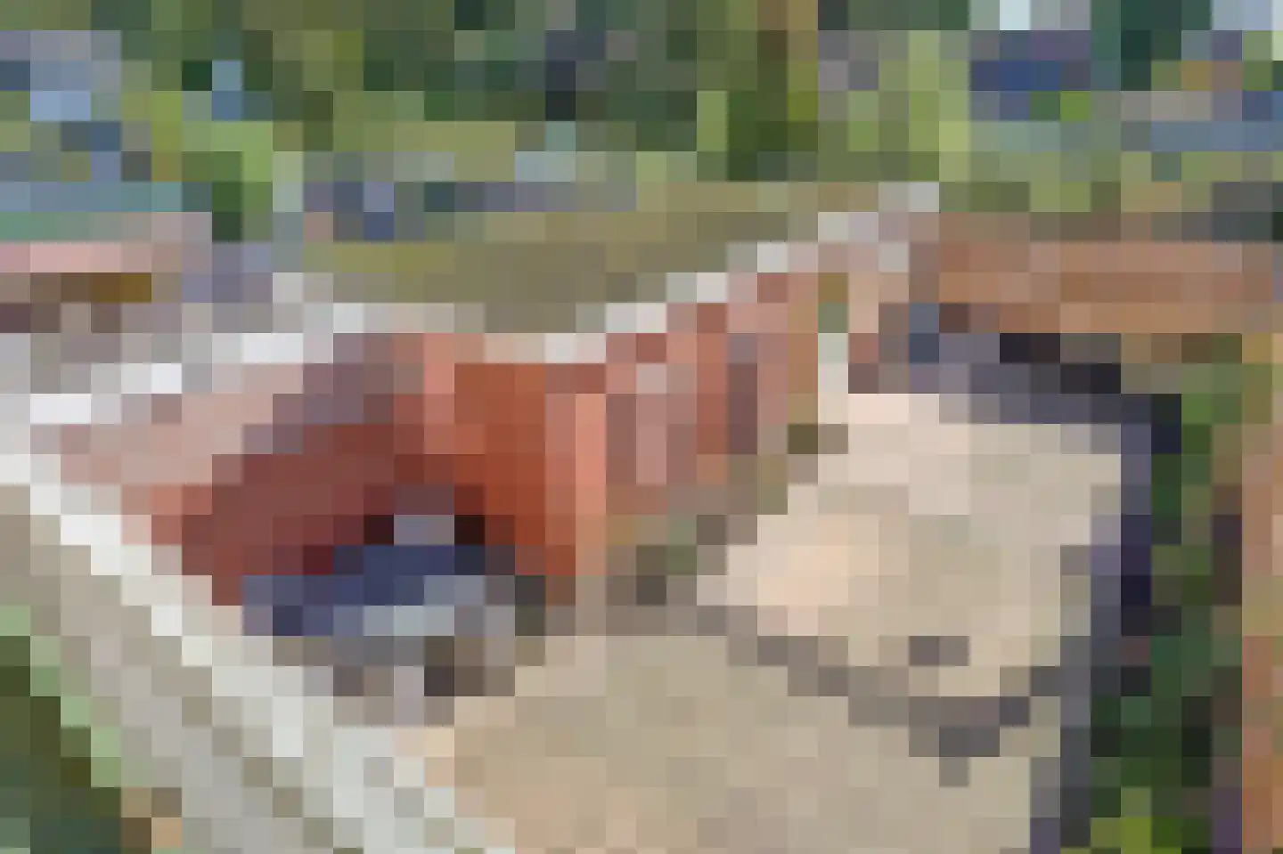 Klumperkamp 5 Epse thumbnail 28