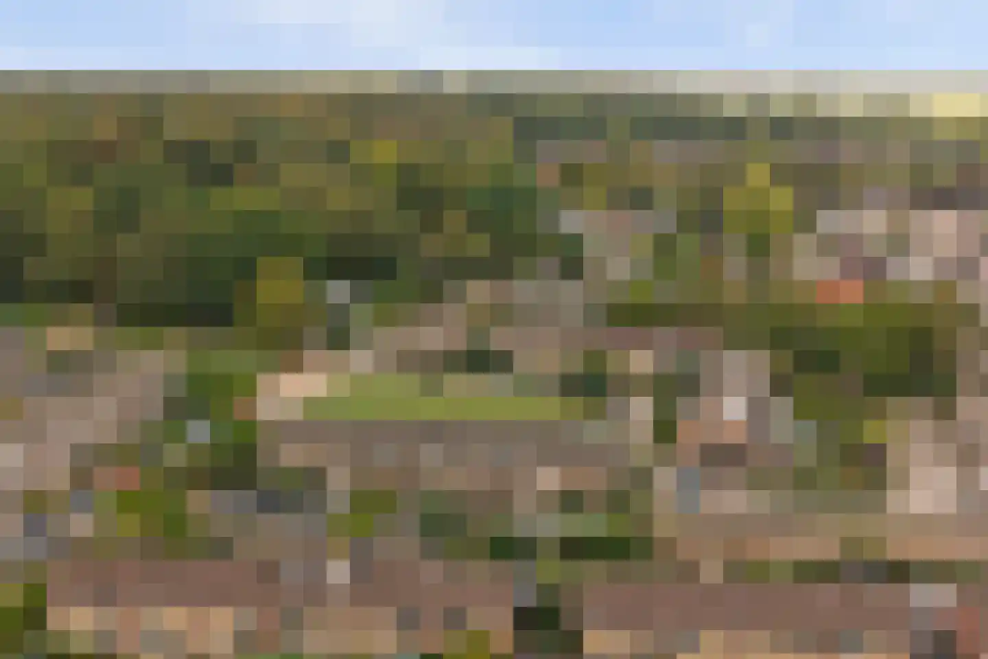 Klumperkamp 5 Epse thumbnail 39