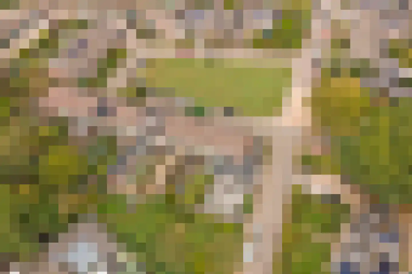 Klumperkamp 5 Epse thumbnail 41