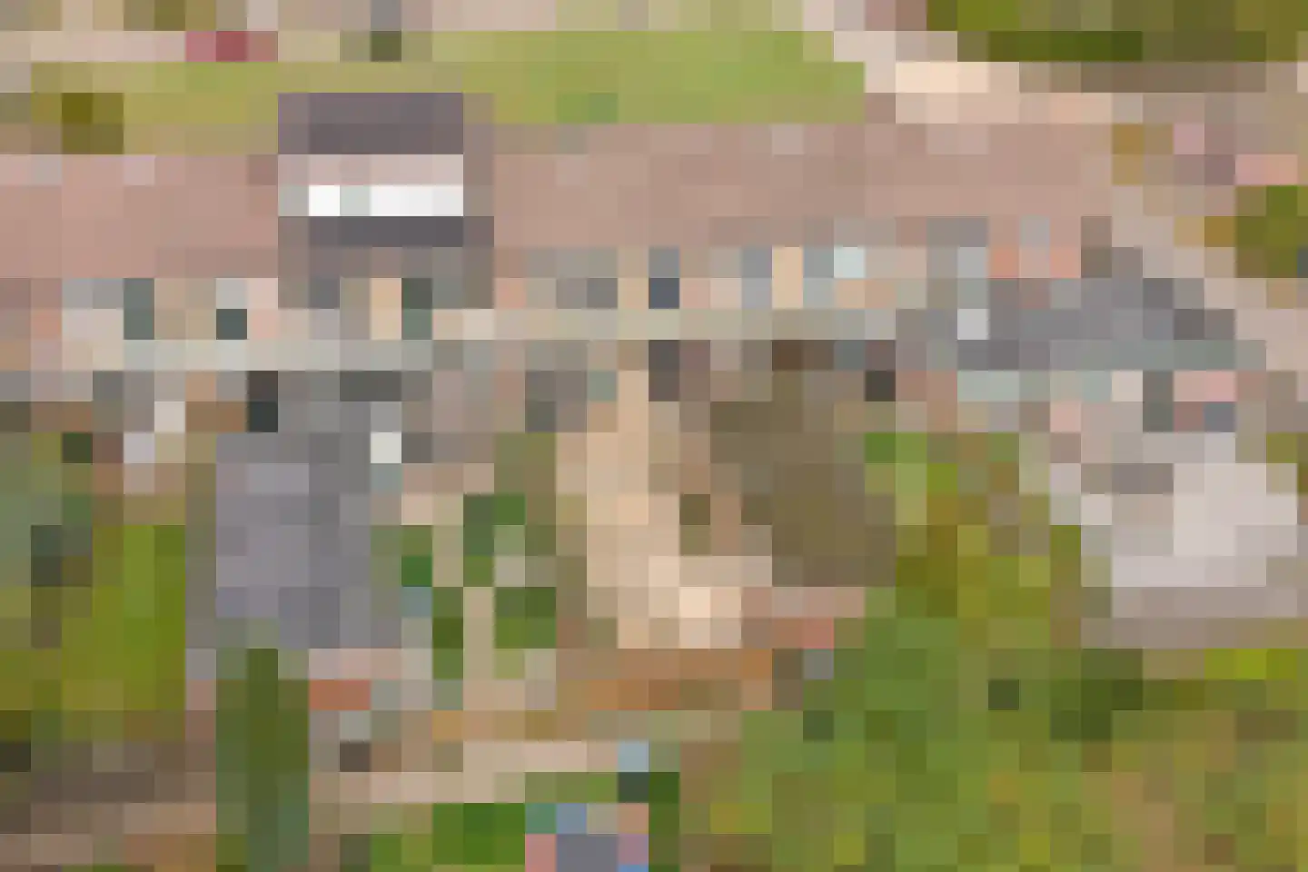 Klumperkamp 5 Epse thumbnail 42