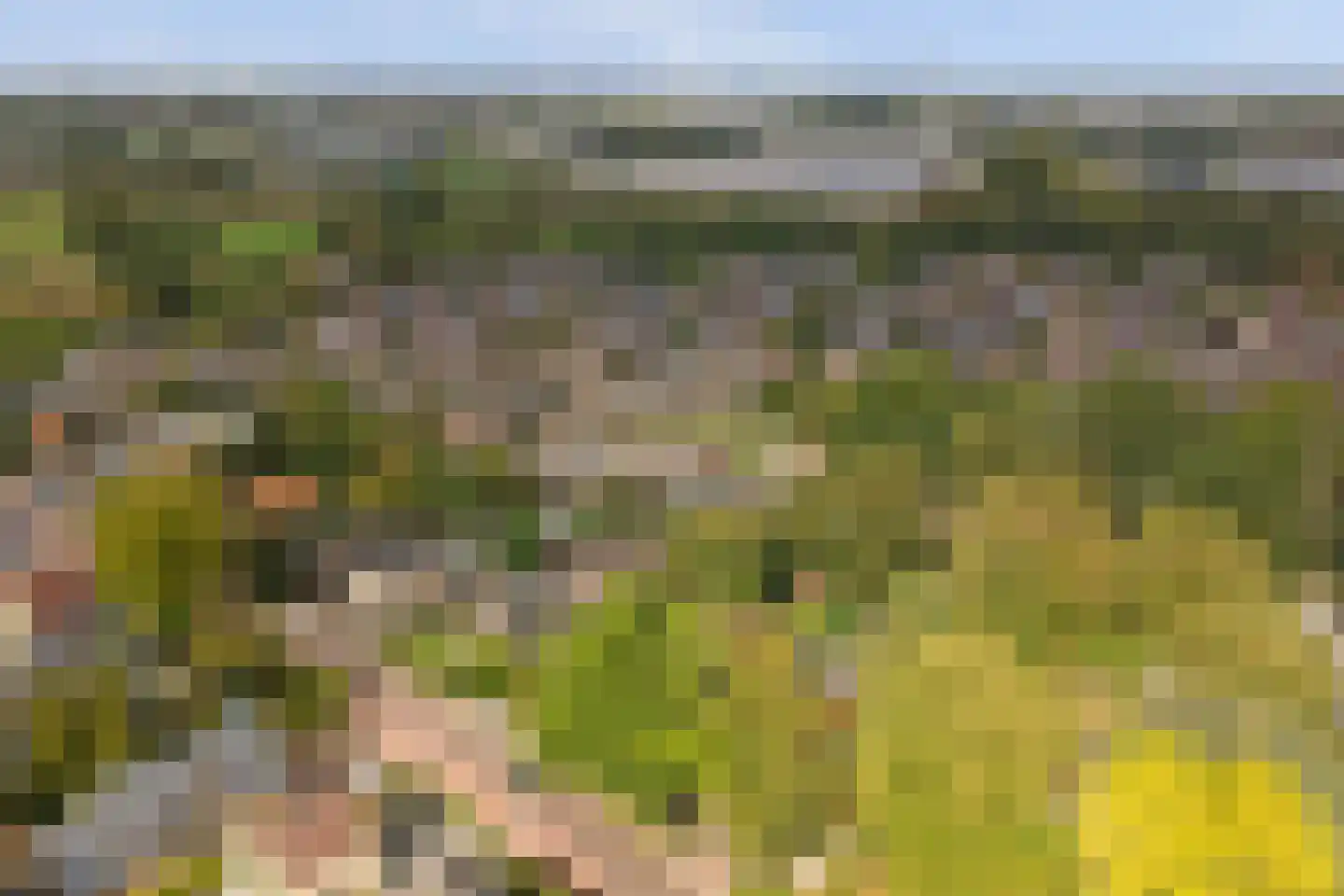 Klumperkamp 5 Epse thumbnail 43