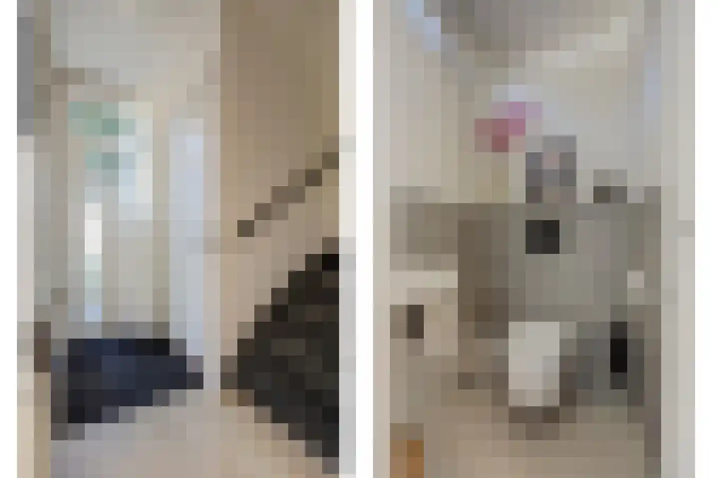 Klumperkamp 5 Epse thumbnail 6