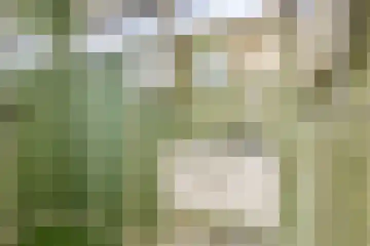 Klumperkamp 7 Epse thumbnail 18