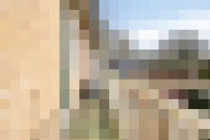 Klumperkamp 7 Epse thumbnail 20
