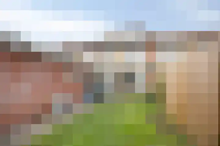Klumperkamp 7 Epse thumbnail 25