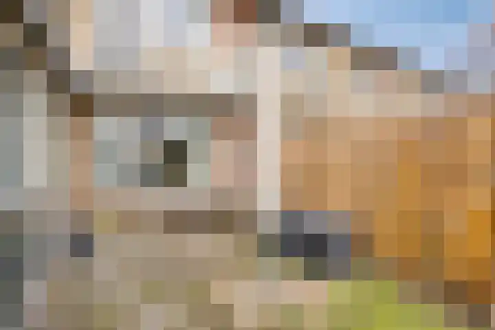 Klumperkamp 7 Epse thumbnail 26