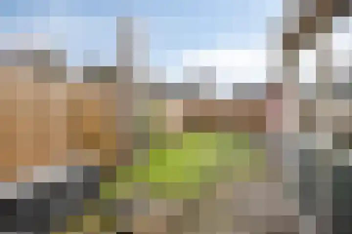 Klumperkamp 7 Epse thumbnail 27