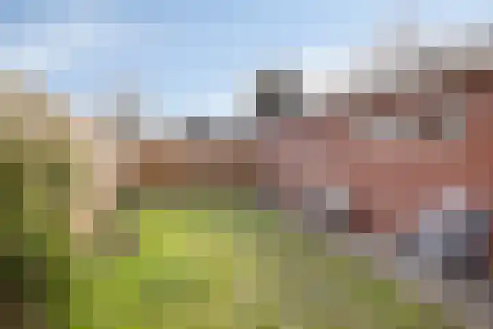 Klumperkamp 7 Epse thumbnail 28