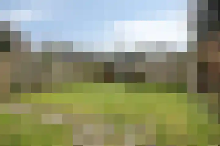 Klumperkamp 7 Epse thumbnail 29