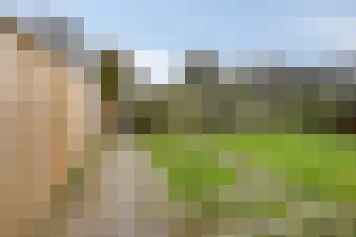 Klumperkamp 7 Epse thumbnail 30