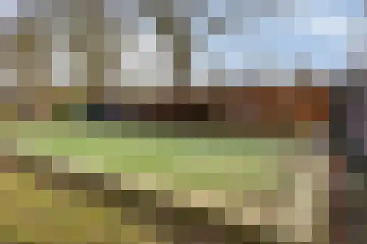 Klumperkamp 7 Epse thumbnail 35