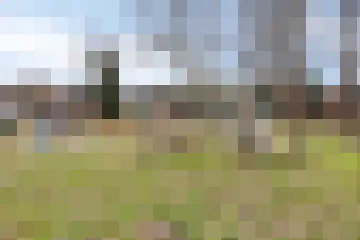 Klumperkamp 7 Epse thumbnail 37