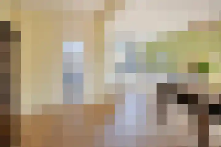 Klumperkamp 7 Epse thumbnail 4