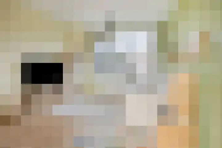 Klumperkamp 7 Epse thumbnail 7