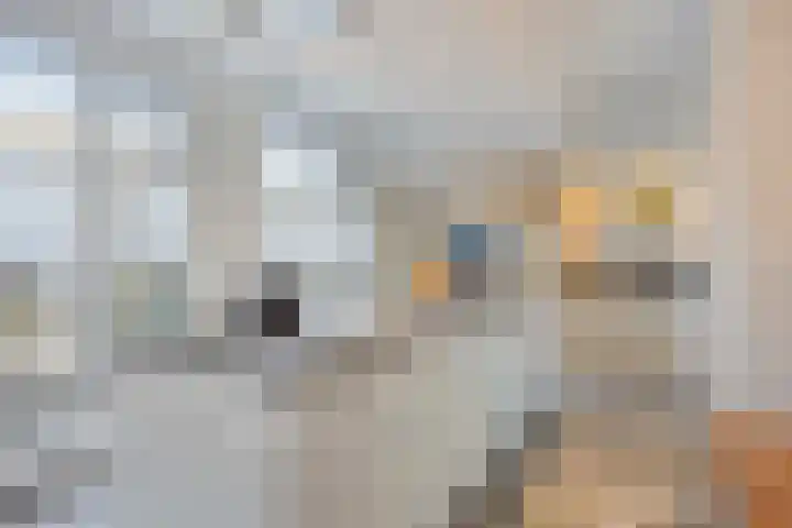 Klumperstraat 1 b Schaijk thumbnail 15