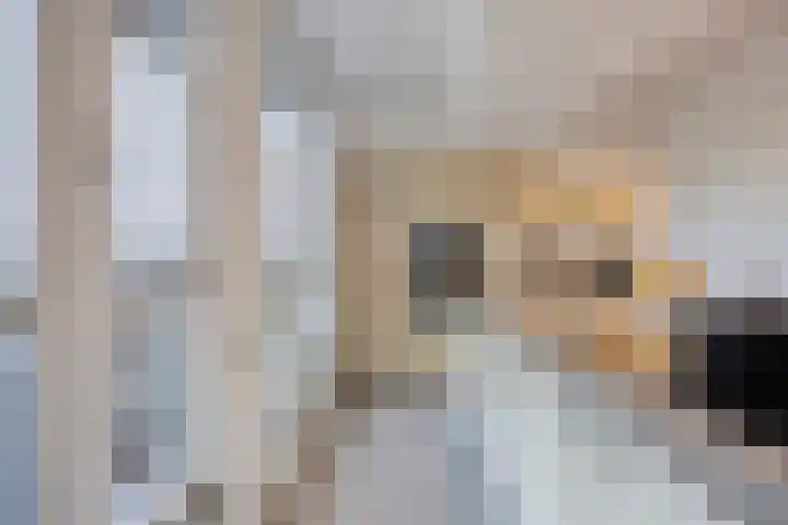 Klumperstraat 1 b Schaijk thumbnail 17