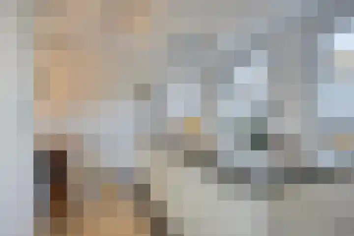 Klumperstraat 1 b Schaijk thumbnail 19