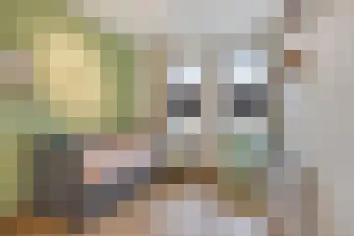 Klumperstraat 1 b Schaijk thumbnail 24