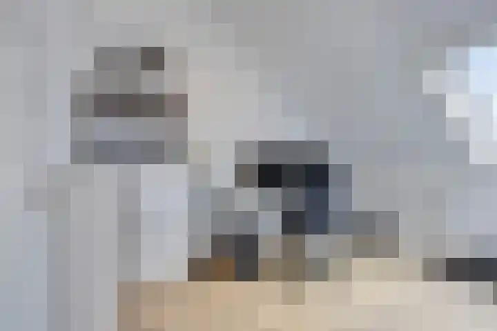 Klumperstraat 1 b Schaijk thumbnail 31