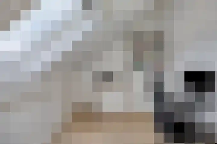 Klumperstraat 1 b Schaijk thumbnail 32