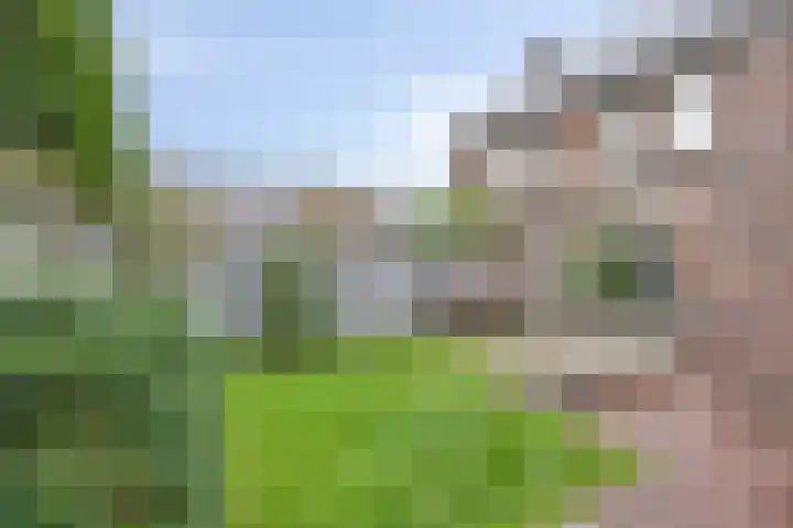 Klumperstraat 1 b Schaijk thumbnail 35