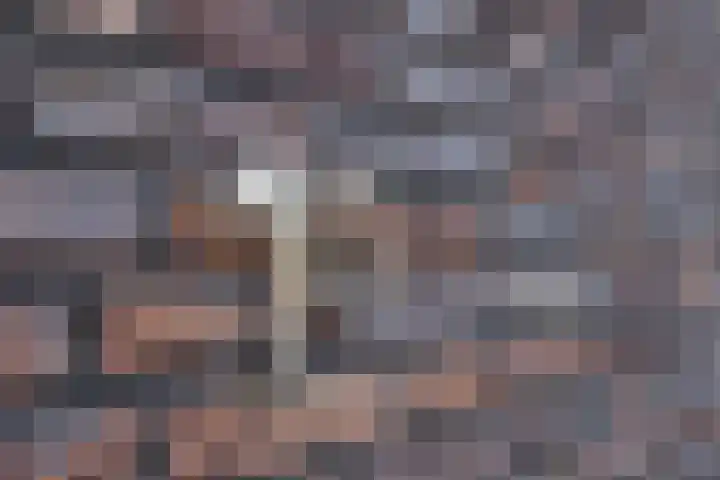 Klumperstraat 1 b Schaijk thumbnail 5