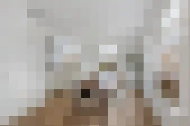 Klumperstraat 26 Reutum thumbnail 11