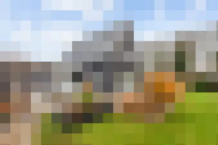 Klumperstraat 26 Reutum thumbnail 21