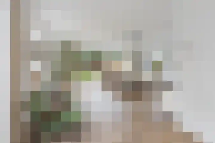 Klumperstraat 26 Reutum thumbnail 7