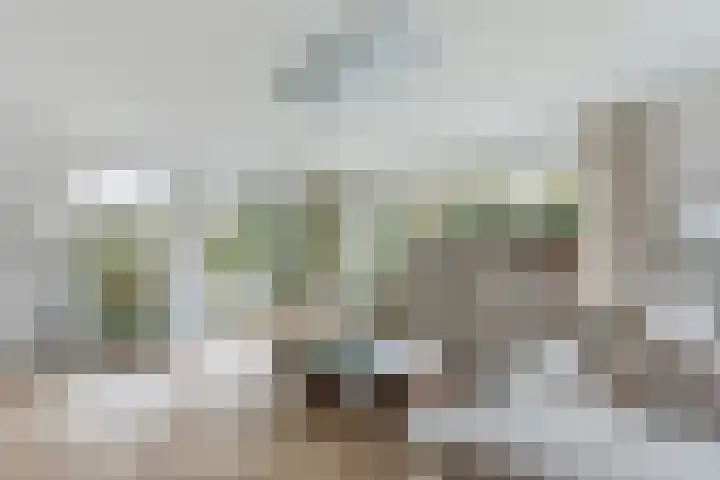 Klumperstraat 26 Reutum thumbnail 9
