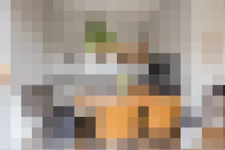 Klundertsedijk 5 Klundert thumbnail 12