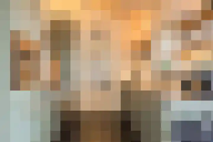 Klundertsedijk 5 Klundert thumbnail 14