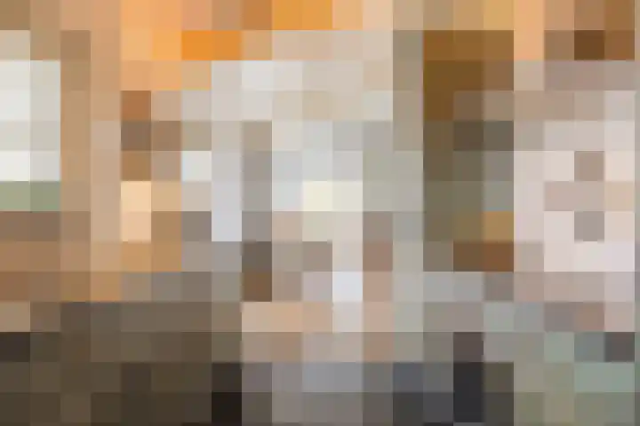 Klundertsedijk 5 Klundert thumbnail 15