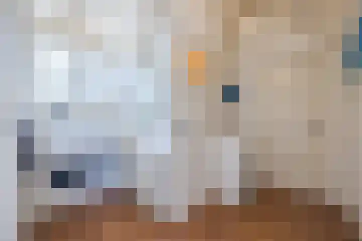Klundertsedijk 5 Klundert thumbnail 18