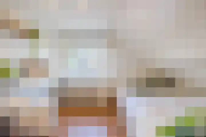 Klundertsedijk 5 Klundert thumbnail 21