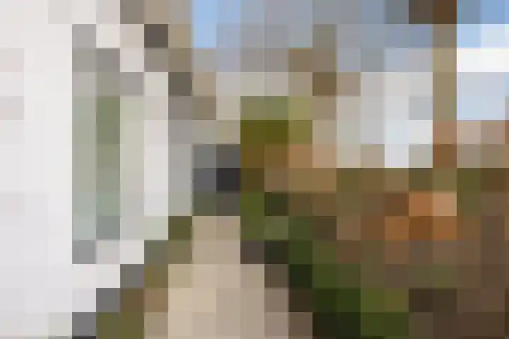Klundertsedijk 5 Klundert thumbnail 36