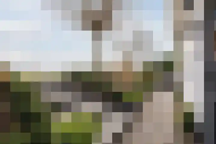 Klundertsedijk 5 Klundert thumbnail 37
