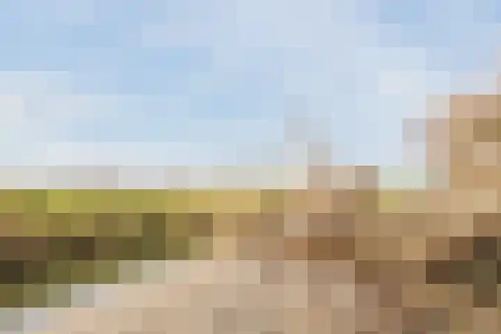 Klundertsedijk 5 Klundert thumbnail 38