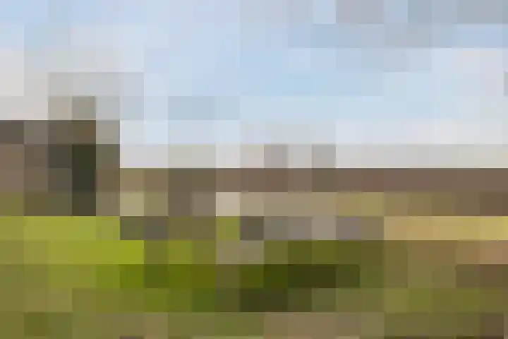 Klundertsedijk 5 Klundert thumbnail 40