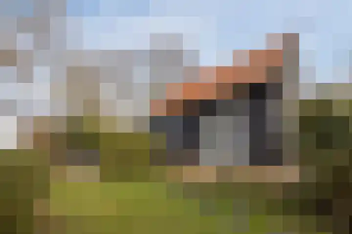 Klundertsedijk 5 Klundert thumbnail 41