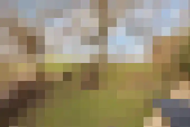 Klundertsedijk 5 Klundert thumbnail 43