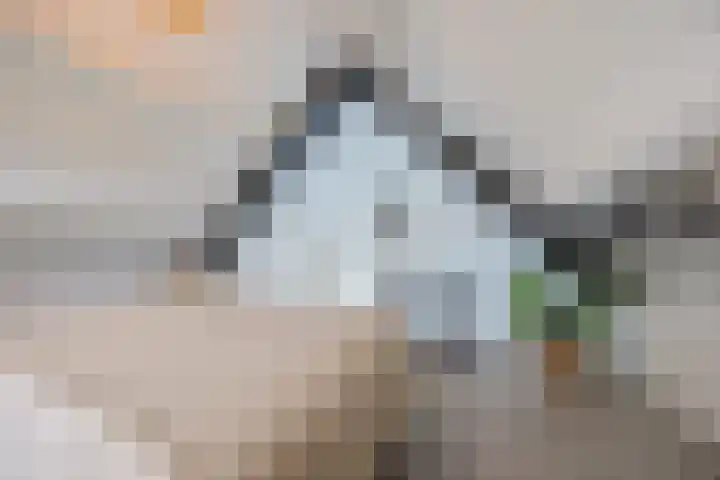 Klundertsedijk 5 Klundert thumbnail 52