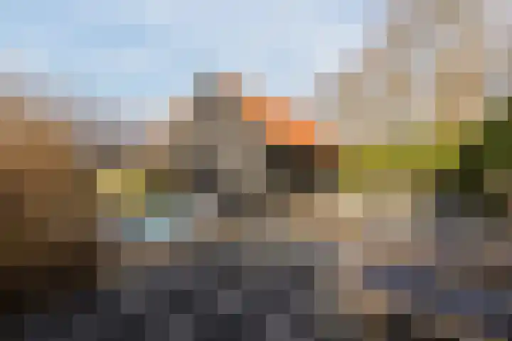 Klundertsedijk 5 Klundert thumbnail 53