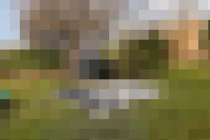 Klundertsedijk 5 Klundert thumbnail 56