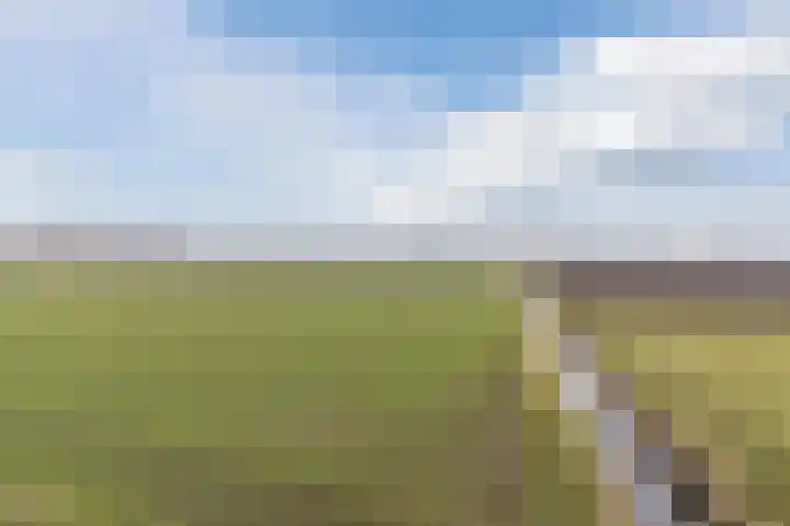 Klundertsedijk 5 Klundert thumbnail 57