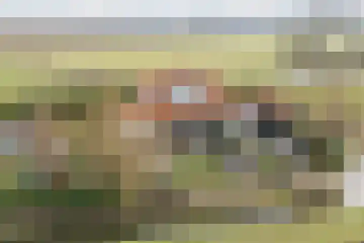 Klundertsedijk 5 Klundert thumbnail 59