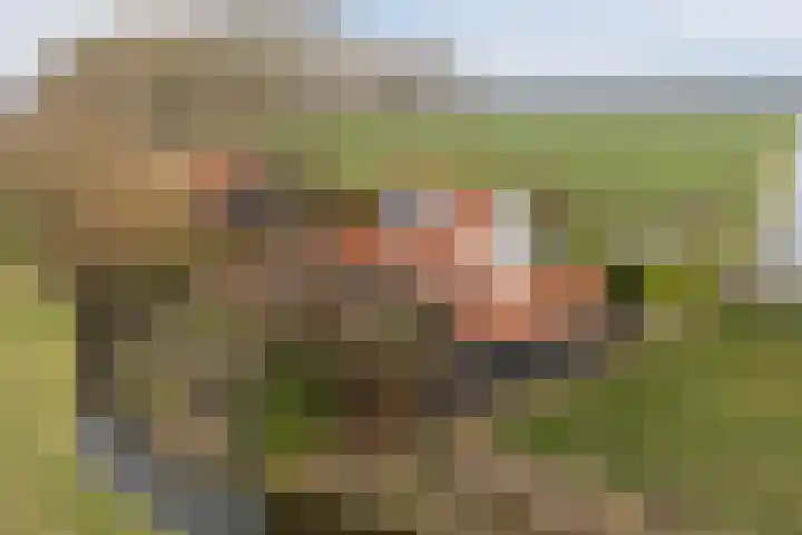 Klundertsedijk 5 Klundert thumbnail 6