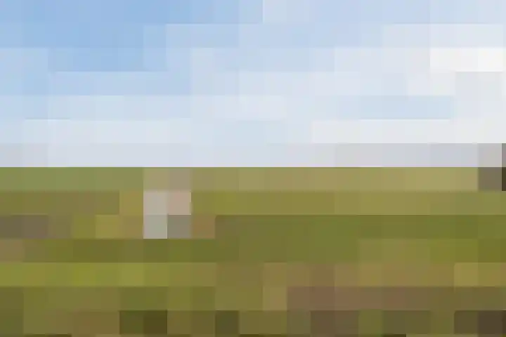 Klundertsedijk 5 Klundert thumbnail 7