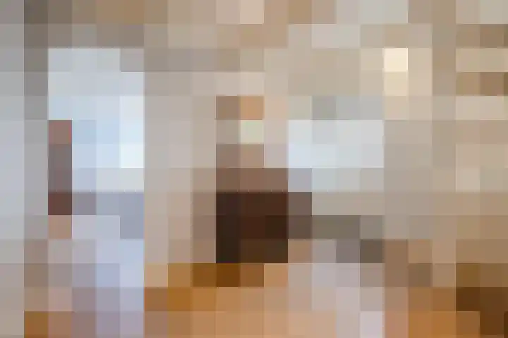 Klundertsedijk 5 Klundert thumbnail 9